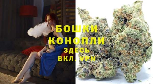 мдпв Медногорск