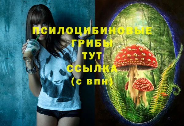 бутират Медвежьегорск