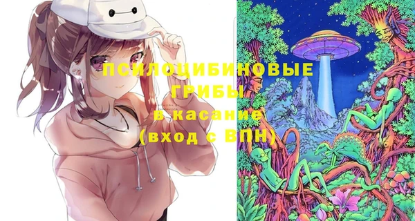 мдпв Медногорск